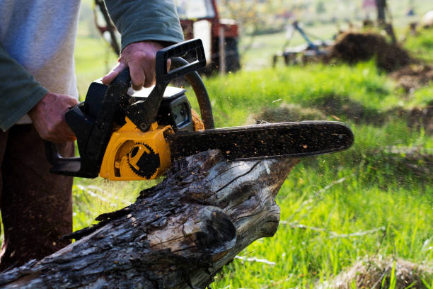 Best Soil Testing and Treatment  in Olathe, KS